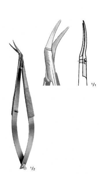 8-Quart Digital Air Fryer