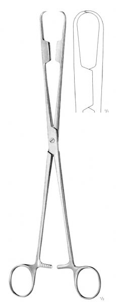 ABEL TENACULUM FORSEPS CURVED 1X1 280MM
